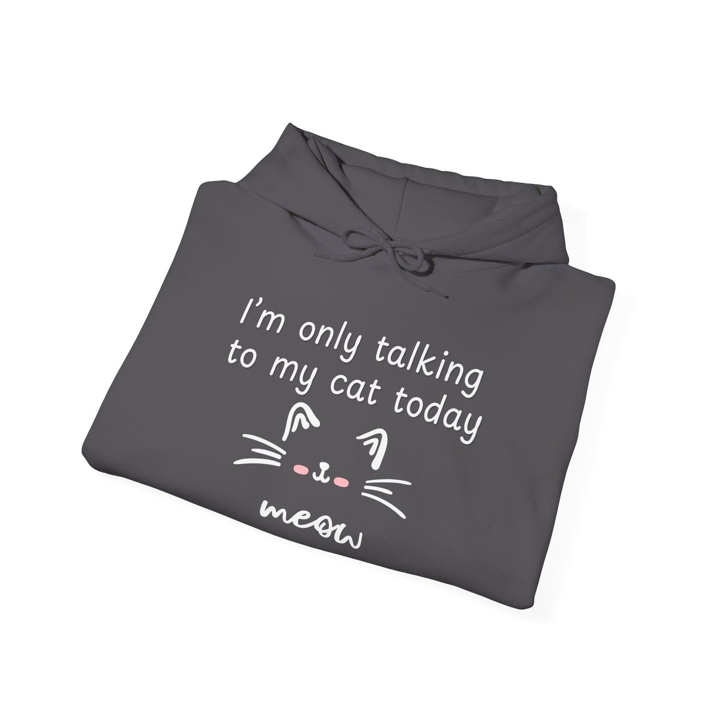 Talking To My Cat - Hoodie Sweatshirt, Casual Everyday Wear, Unique
