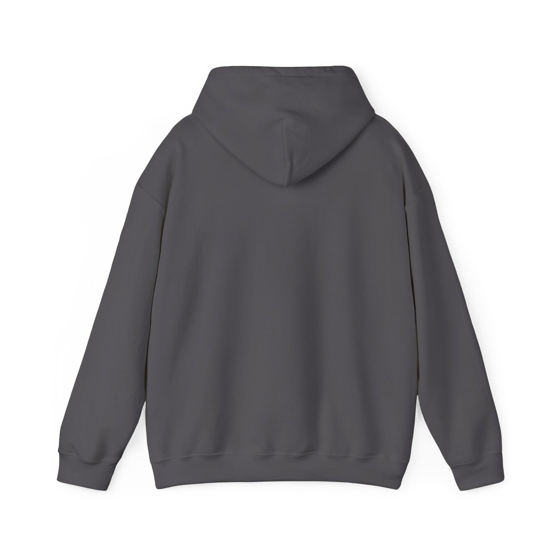 shopelevatedtoday, shopelevatedtoday.com/,  Coffee to Start the Day Hoodie Sweatshirt, Casual Everyday Wear, Unique