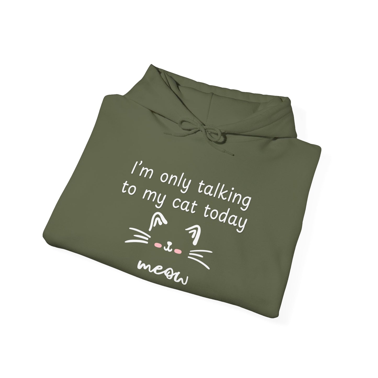 Talking to my Cat Today, Heavy Blend Cotton Hooded Sweatshirt