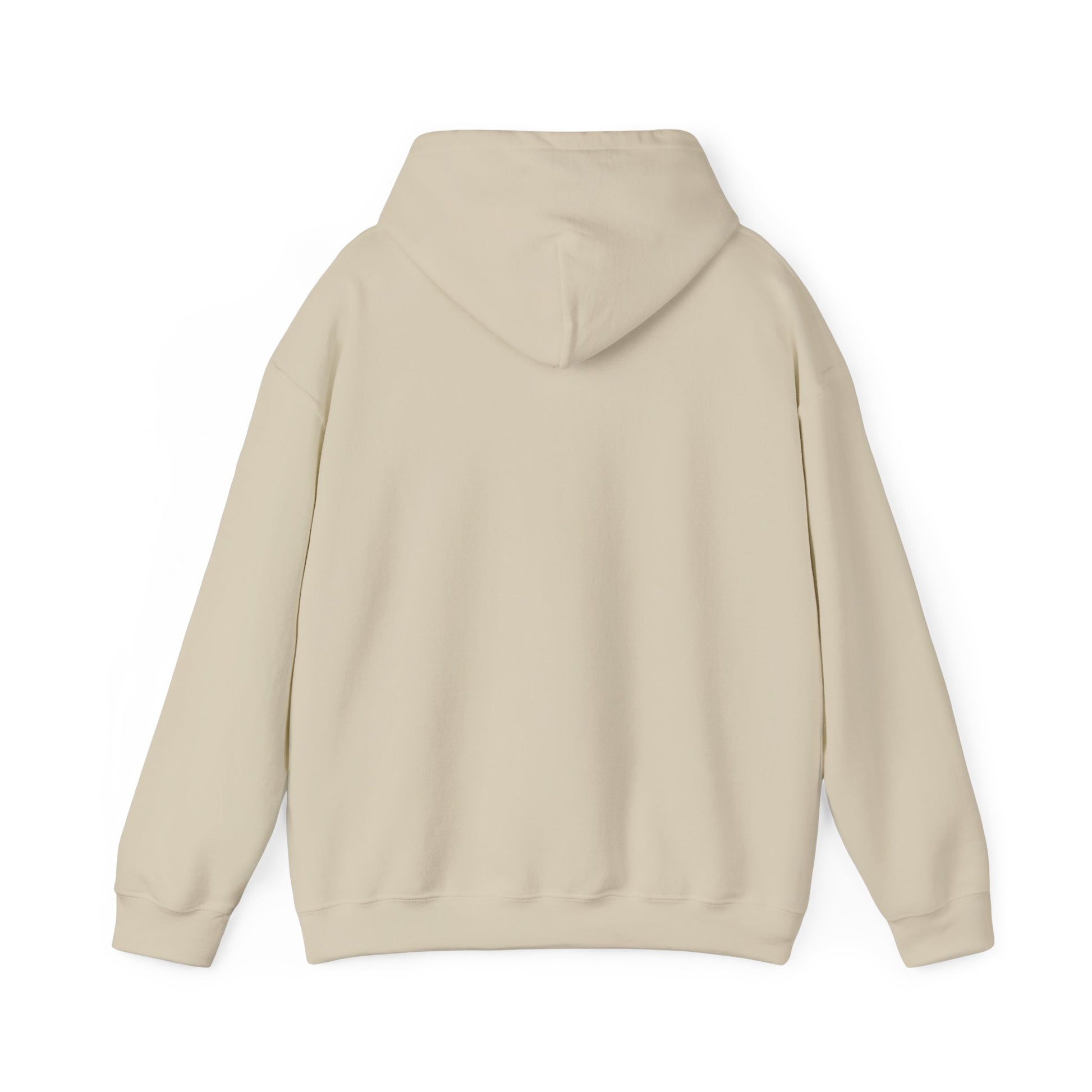 shopelevatedtoday, shopelevatedtoday.com/,   Hoodie Sweatshirt