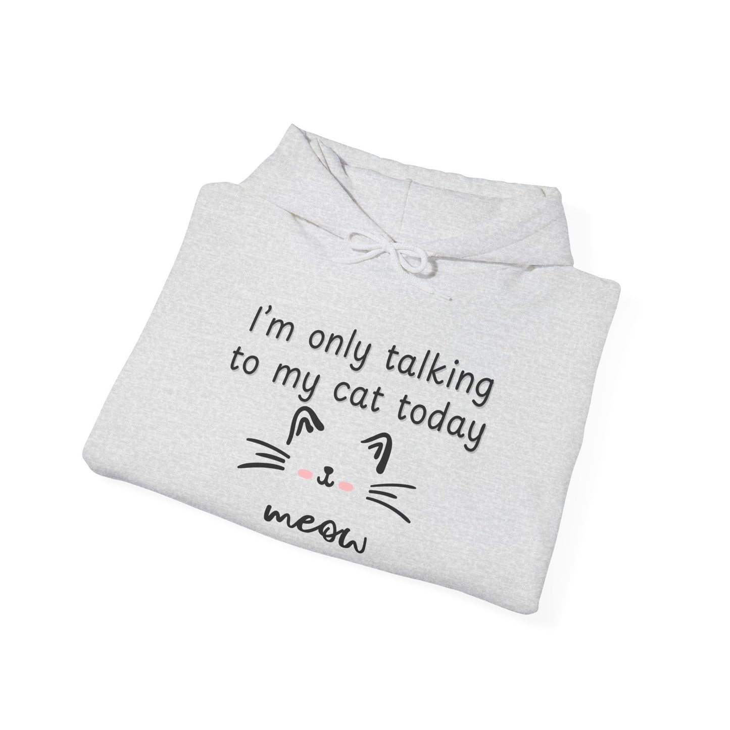 Talking to My Cat, Heavy Blend Hooded Sweatshirt with Drawstring