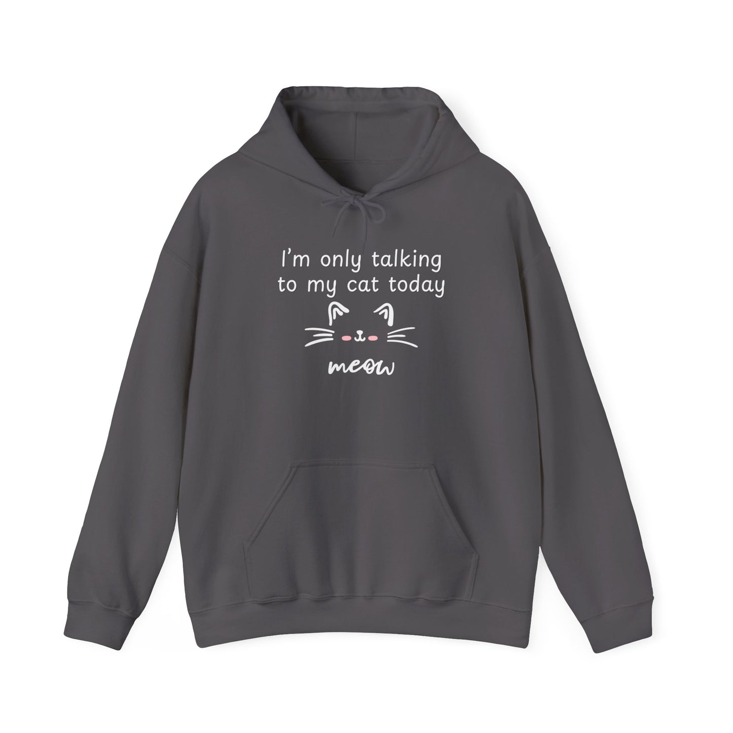 Talking to my Cat Today, Heavy Blend Cotton Hooded Sweatshirt