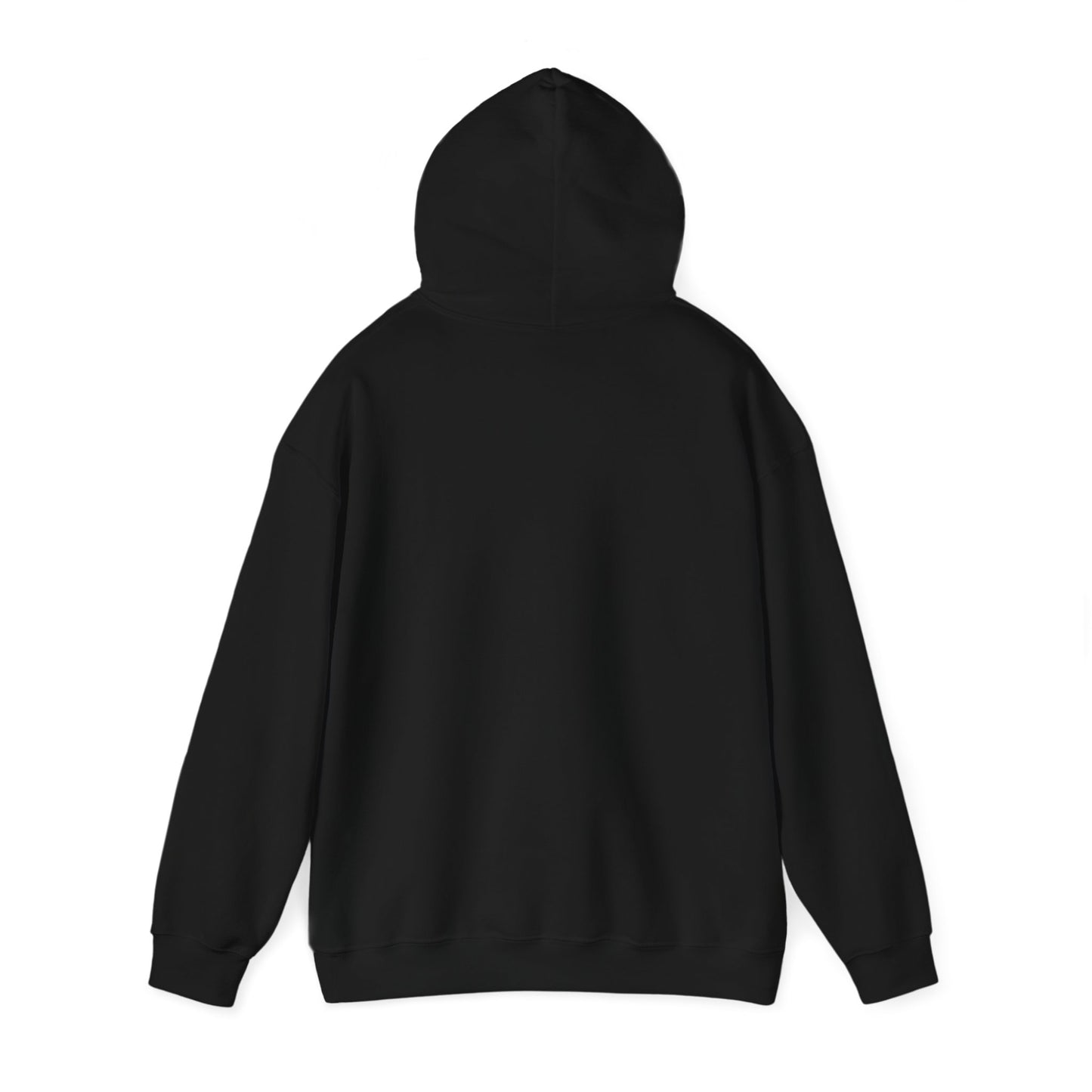 Talking to my Cat Today, Heavy Blend Cotton Hooded Sweatshirt