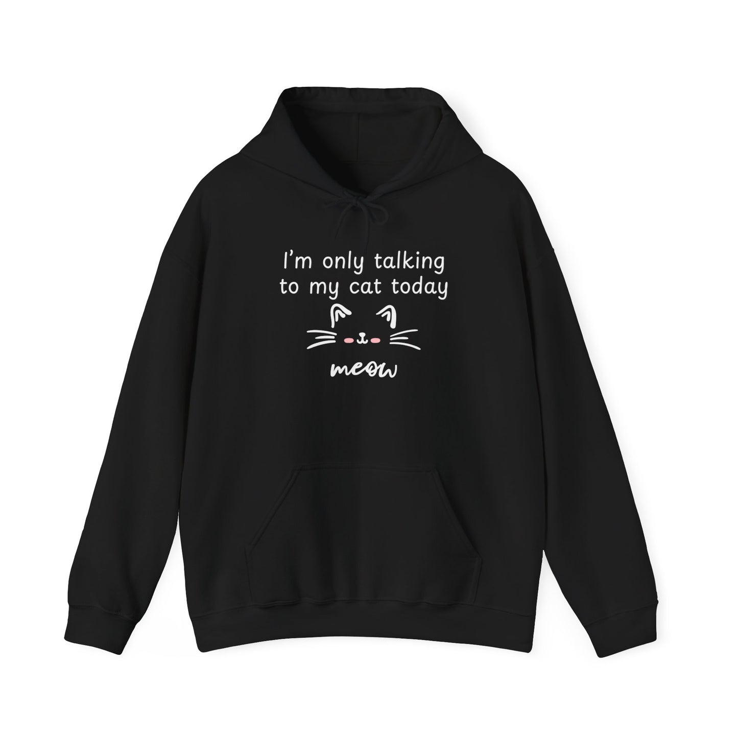 Talking to my Cat Today, Heavy Blend Cotton Hooded Sweatshirt