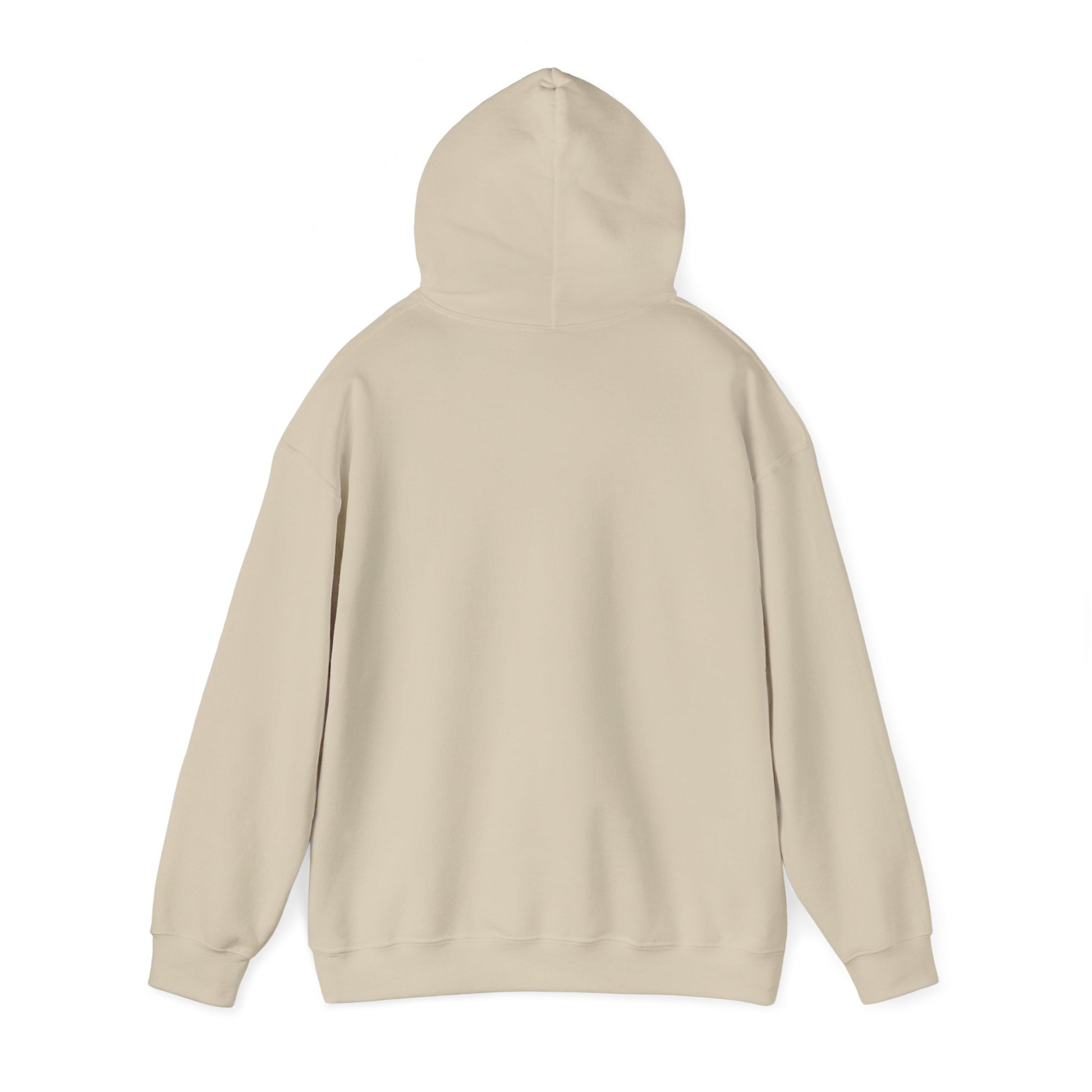 shopelevatedtoday, shopelevatedtoday.com/,   Hoodie Sweatshirt