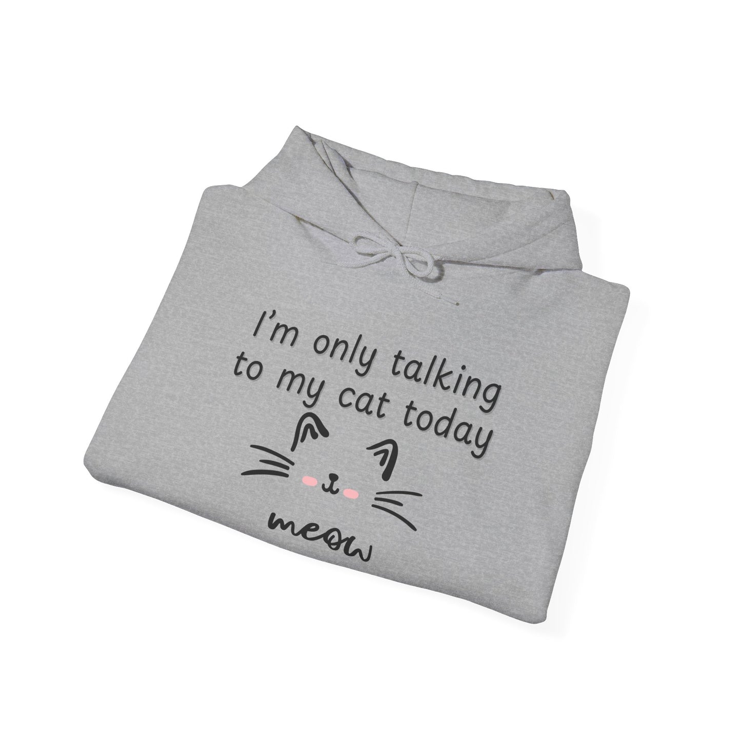 Talking to My Cat, Heavy Blend Hooded Sweatshirt with Drawstring