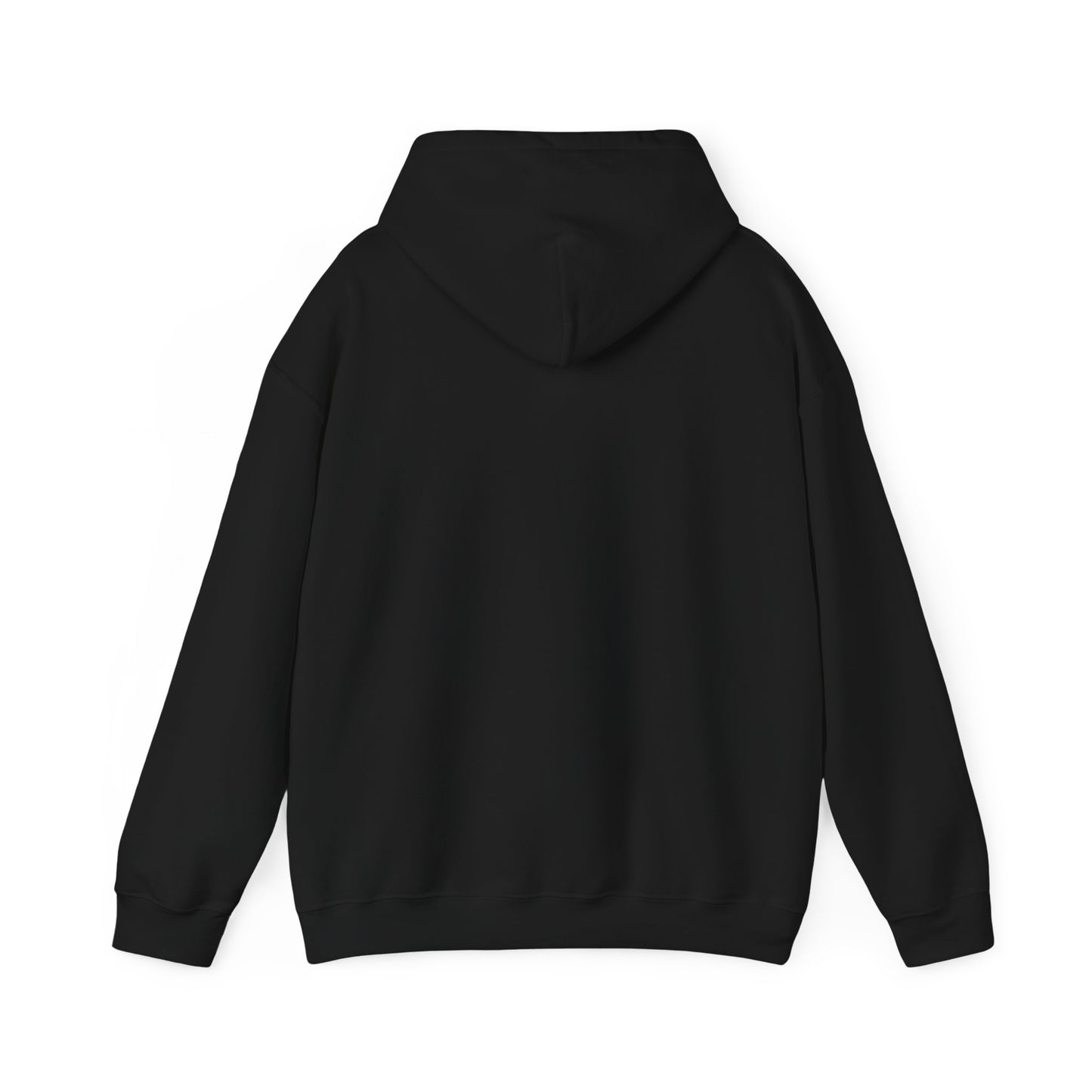 Talking to my Cat Today, Heavy Blend Cotton Hooded Sweatshirt