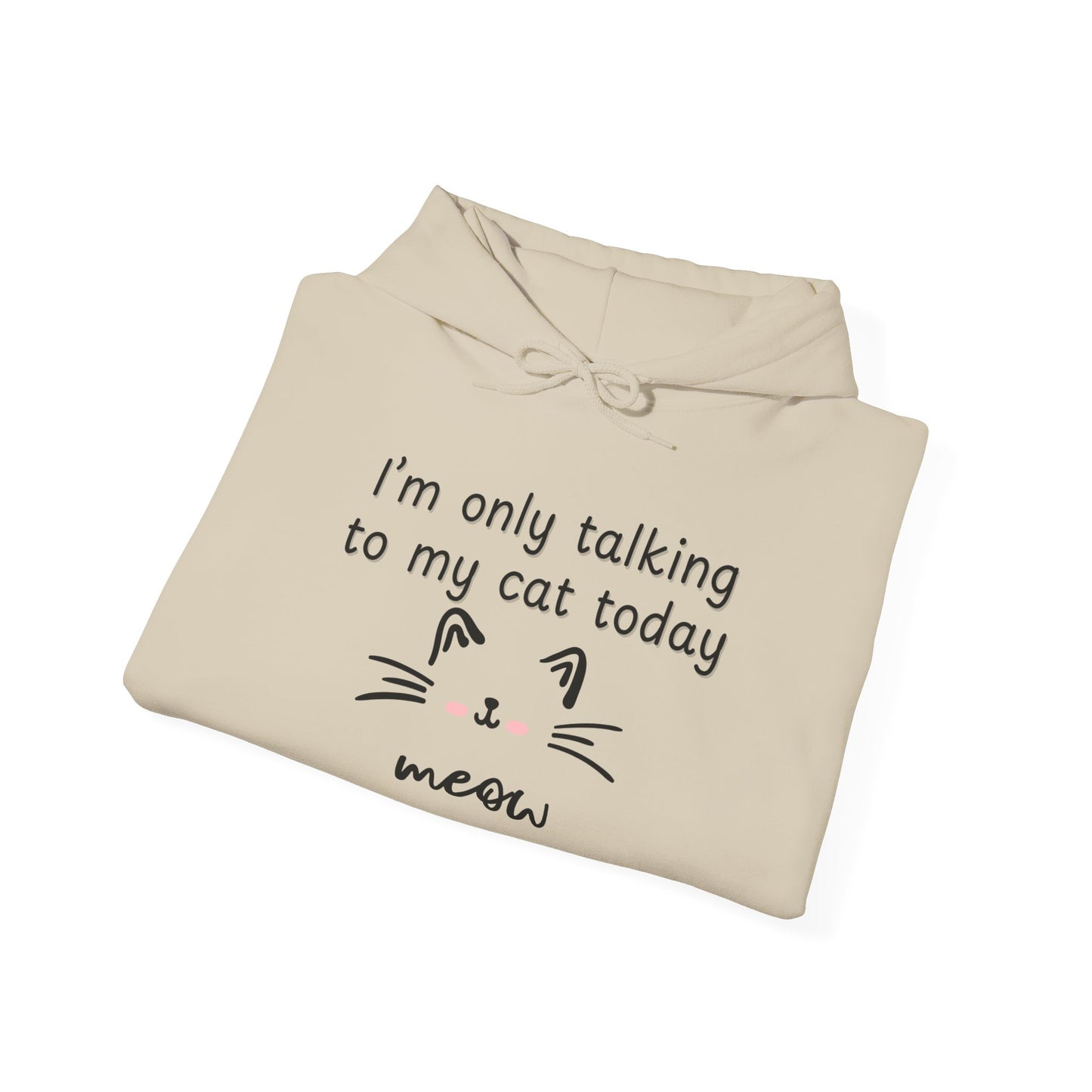 Talking to My Cat, Heavy Blend Hooded Sweatshirt with Drawstring